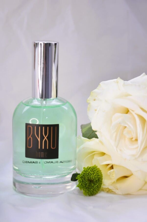 ROSA BLANCA & BAMBÚ