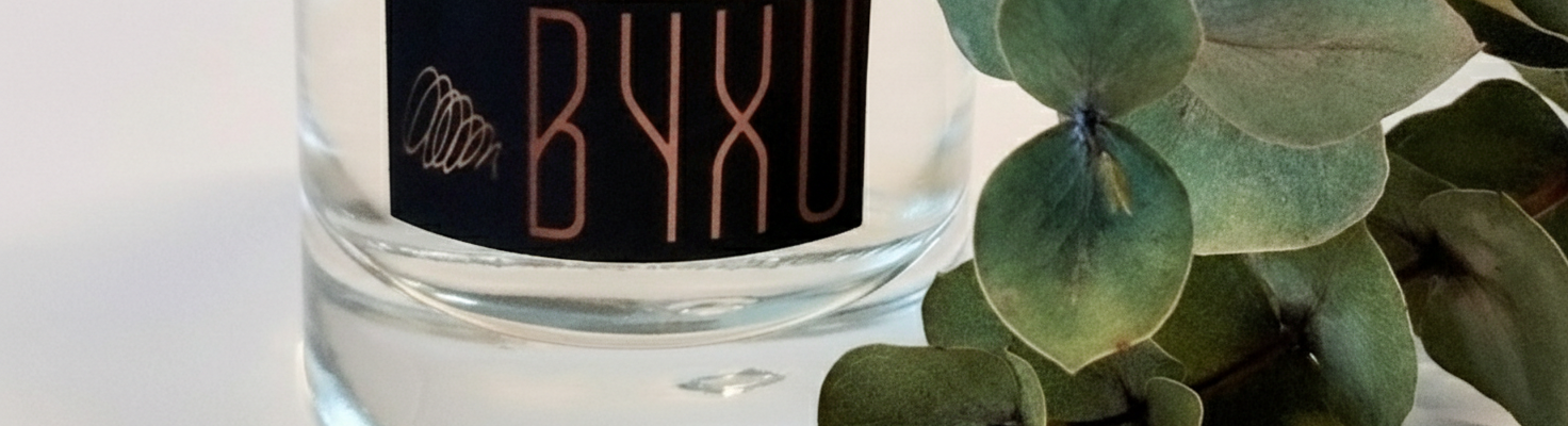 FOTO GEMINI WEB FOTO GEMINI WEB