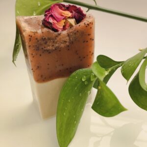 JABÓN ÁRBOL DE TÉ (PROMO PRECIO ESPECIAL  HASTA EL 17-10-2025 )