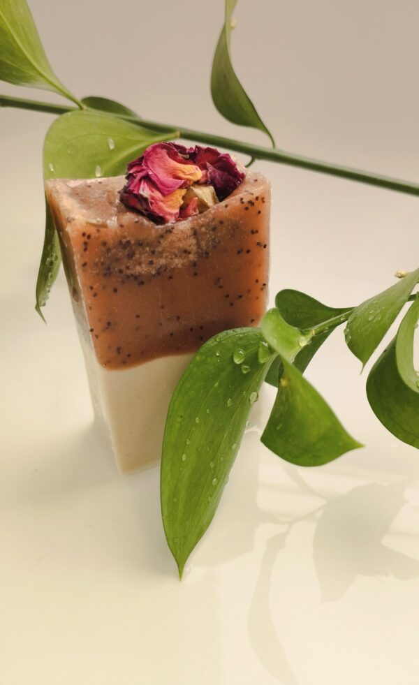 JABÓN ÁRBOL DE TÉ (PROMO PRECIO ESPECIAL  HASTA EL 17-10-2025 )