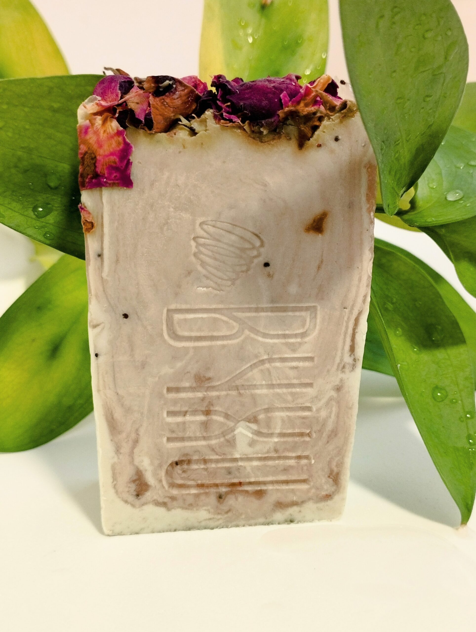 JABÓN ÁRBOL DE TÉ CON SEMILLAS DE AMAPOLA