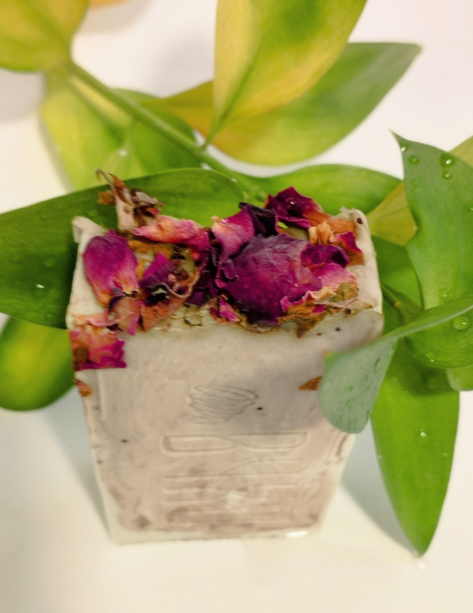 JABÓN ÁRBOL DE TÉ CON SEMILLAS DE AMAPOLA - Imagen 2