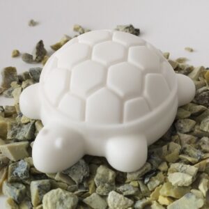 OSKOL (la tortuga paciente)